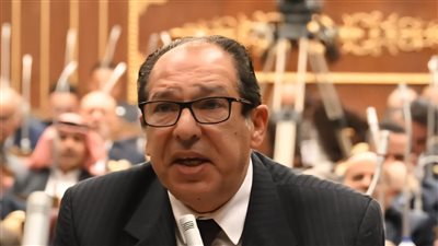 حسام الخولي    