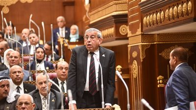 علاء عبدالنبي    