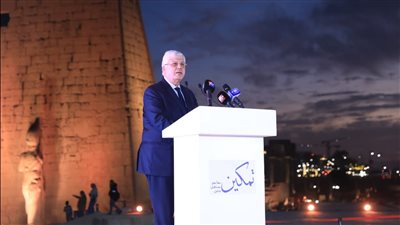 الدكتور أيمن عاشور وزير التعليم العالي والبحث العلمي    