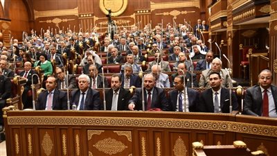 مجلس الشيوخ    