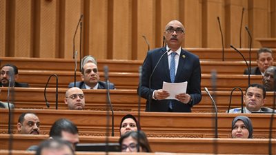 إيهاب منصور    