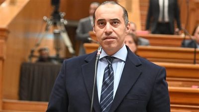 المستشار محمود فوزي    