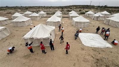 اللجنة المصرية في غزة    