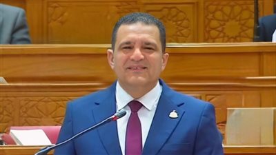 أمير الجزار     