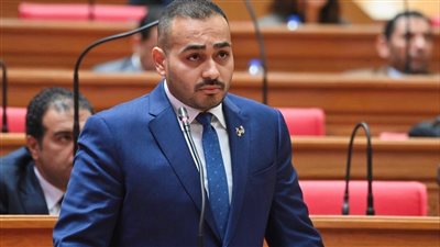 النائب أحمد ناصر     