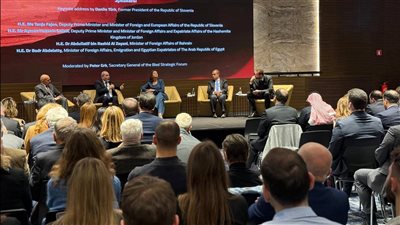 جانب من اللقاء    