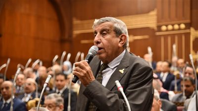 علاء عبدالنبي    