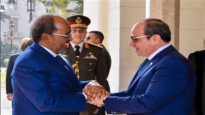 الرئيس عبد الفتاح السيسي    