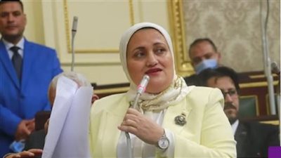 النائبة سناء السعيد    