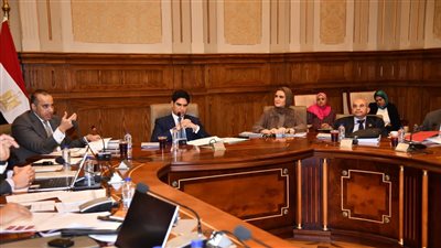 اجتماع اللجنة     