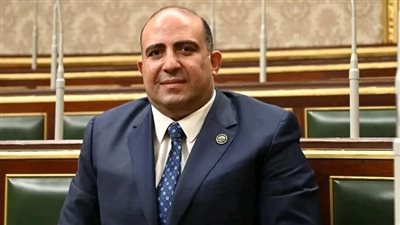 النائب محمد سليم    