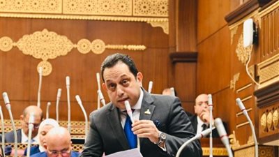 النائب محمد الجندي    