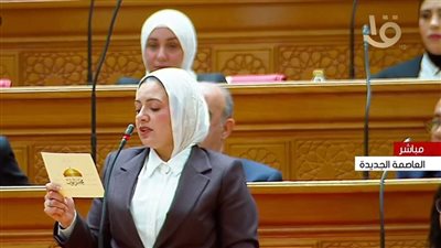 النائبة ريهام عبدالنبي     