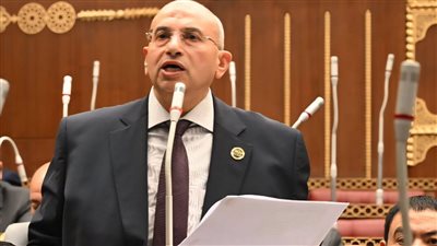 النائب أشرف عبد الغني    