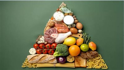 الهرم الغذائي المصري    