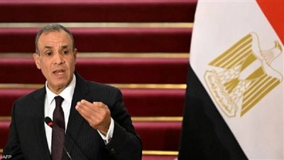 الدكتور بدر عبدالعاطي - وزير الخارجية    