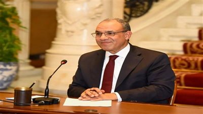  الدكتور بدر عبد العاطي - وزير الخارجية     