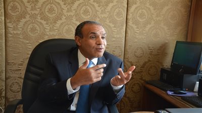 الدكتور بدرعبدالعاطي - وزير الخارجية    