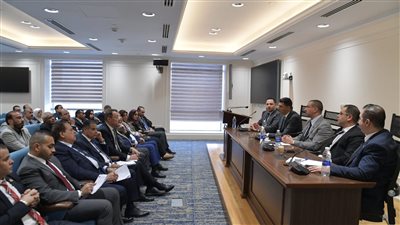 صناعة النواب    