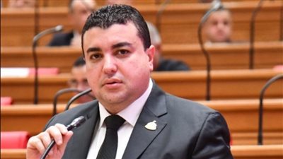 شادي الكومي    