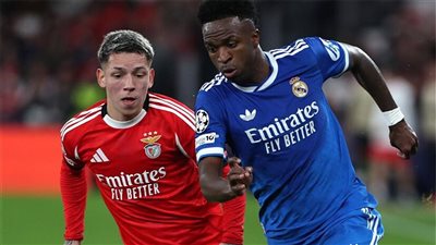 فينيسيوس ولاعب بنفيكا     