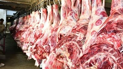 سعر اللحوم الحمراء اليوم     
