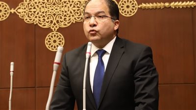 النائب عادل اللمعي     