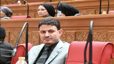 مجلس النواب - أرشيفية    