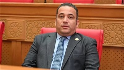 النائب هاني شحاتة     