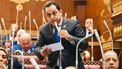 النائب محمد الجندي    