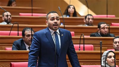 النائب أحمد ناصر    