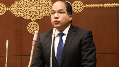 النائب عادل اللمعي     