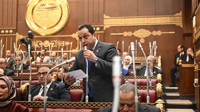 النائب محمد الجندي    