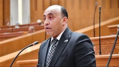 النائب حسام حسن    