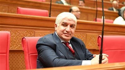 النائب أشرف سعد سليمان     