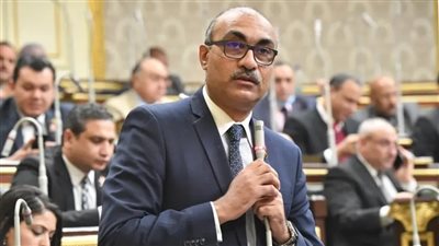 إيهاب منصور وكيل لجنة القوى العاملة بمجلس النواب    
