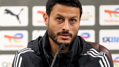 محمد الشناوي    