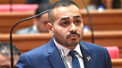 النائب أحمد ناصر     