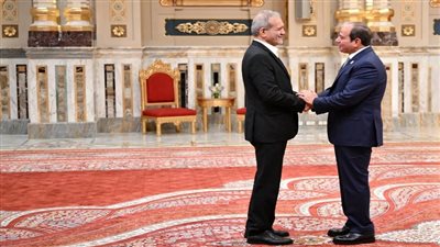 الرئيس السيسي والرئيس الإيراني    