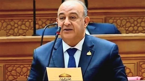 الدكتور مجدي مرشد وكيل لجنة الصحة بمجلس النواب    