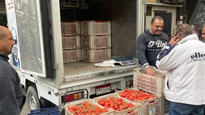 بيع الطماطم     