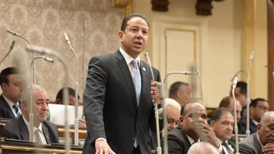 النائب حسن عمار    