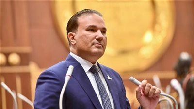 النائب تامر عبد الحميد عضو مجلس الشيوخ    