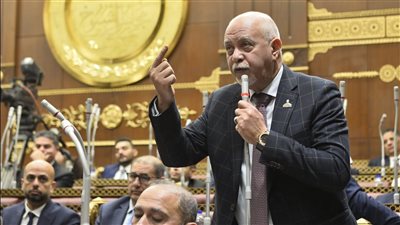 النائب حازم الجندي     