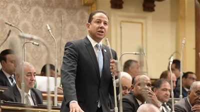 النائب حسن عمار    