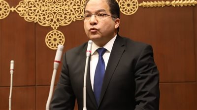 النائب عادل اللمعي     