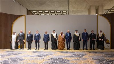 وزراء خارجية العرب    