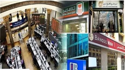 البنوك المركزية    