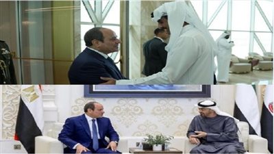 الرئيس عبد الفتاح السيسي    