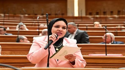 النائبة راوية مختار    